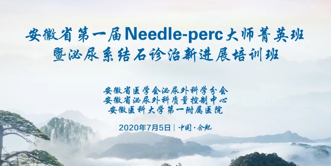 安徽省第一屆 Needle-perc大師菁英班暨泌尿系結(jié)石診治新進(jìn)展培訓(xùn)班成功舉辦